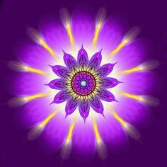 purpleflower's picture